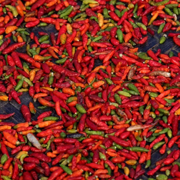 Bold Flavors in the heart of Scotts Valley